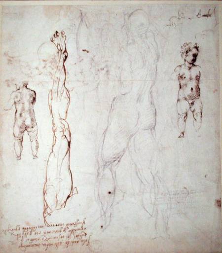 Study of the Christ Child and an Anatomical Drawing with Notes (black chalk & brown ink on paper) (v od Michelangelo (Buonarroti)