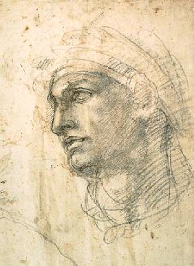 Study of a Head  Inv.1895/9/15/498 (W.1)