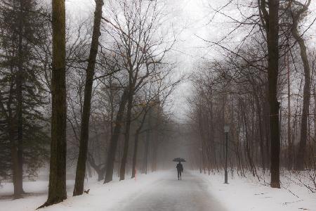 In the winter rain