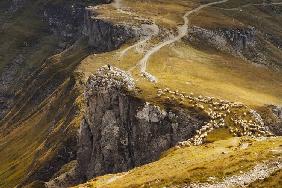 Alpine Pastures