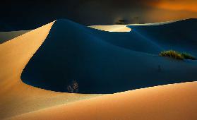 Magic Desert