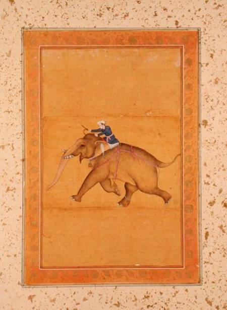 A Mahout riding an Elephant, from the Large Clive Album od Mughal School