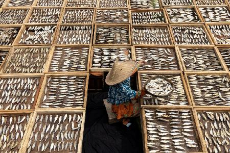 Drying Fish