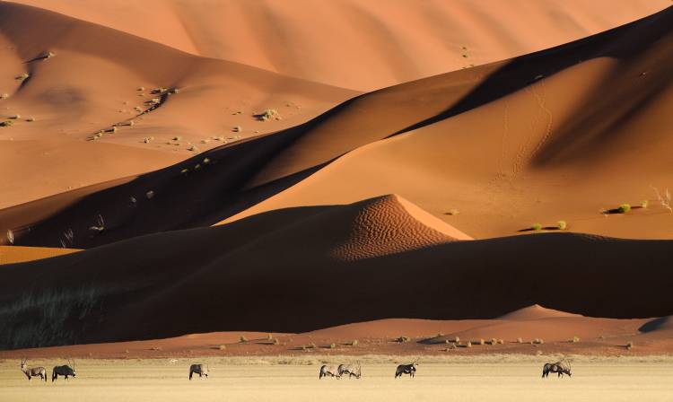 Namib Dunes od Muriel Vekemans