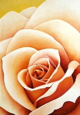 The Rose, 2003 (oil on canvas) 