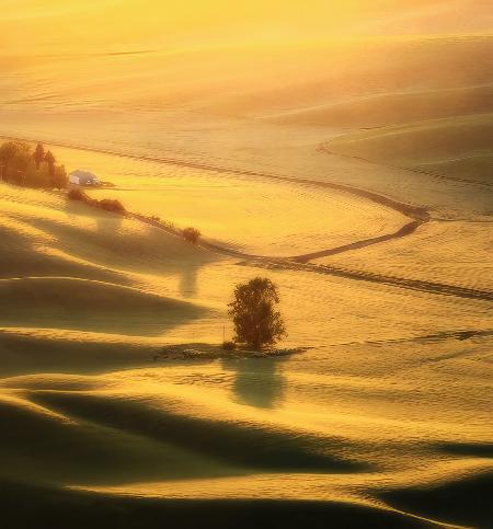 The View Of Palouse