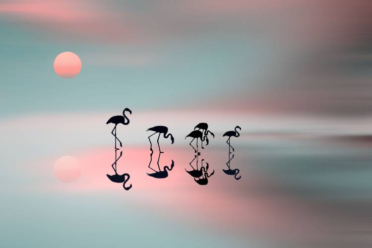Family flamingos od Natalia Baras