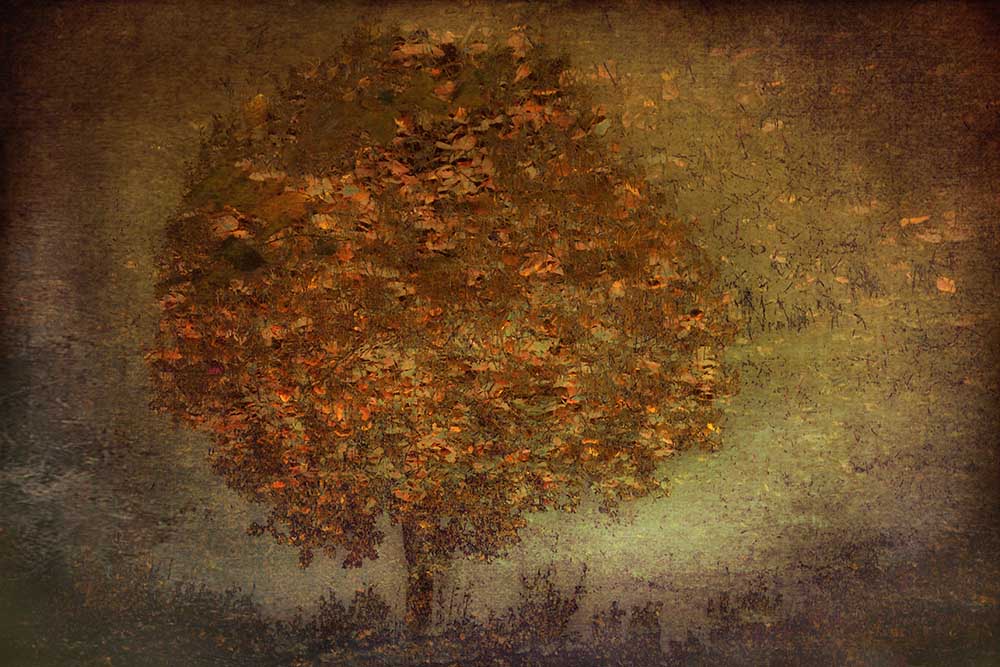 Autumn Tree od Nel Talen