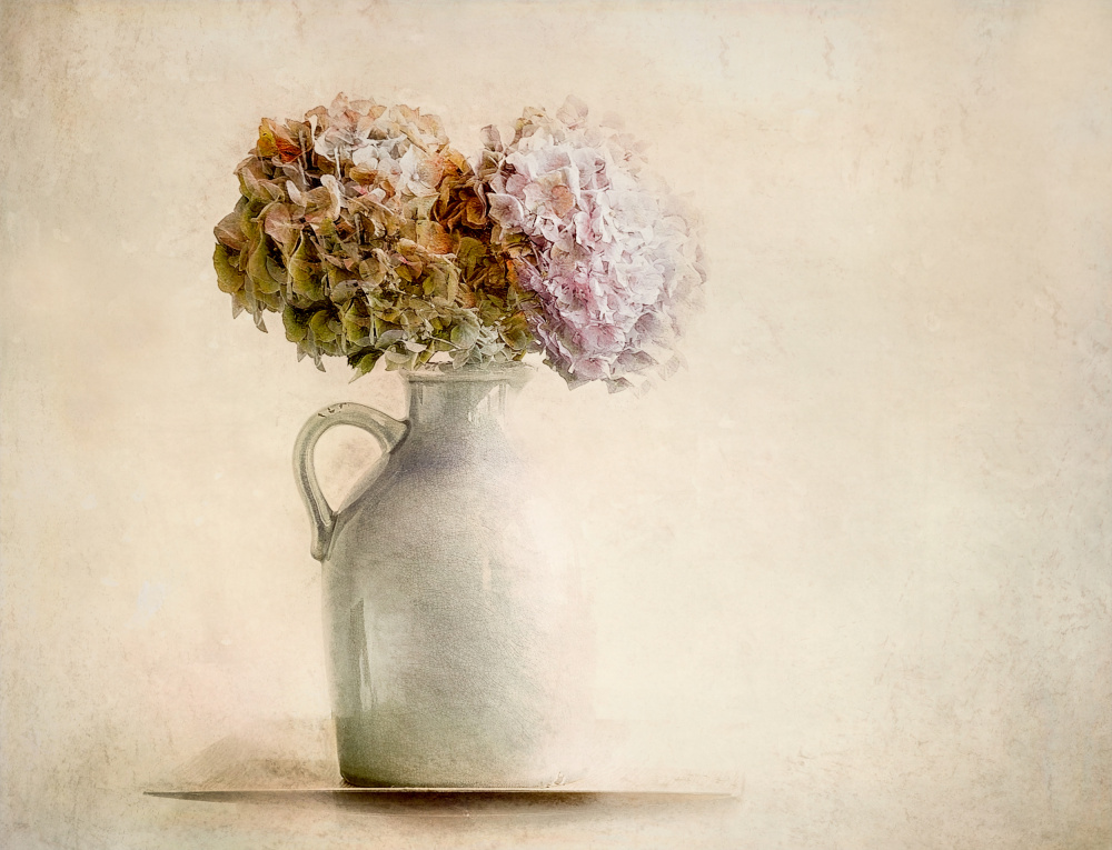 Dry bouquet od Nel Talen