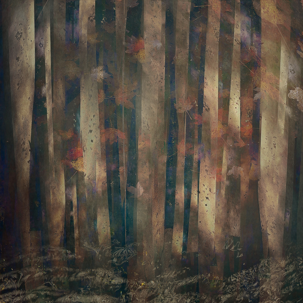 Forest abstract od Nel Talen
