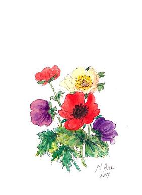 Anemones, 2007 (w/c on paper) 