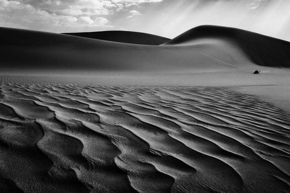 The Living Dunes, Namibia I od Neville Jones
