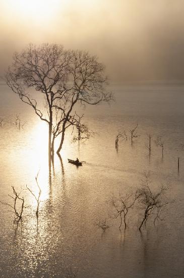 Morning on the lake