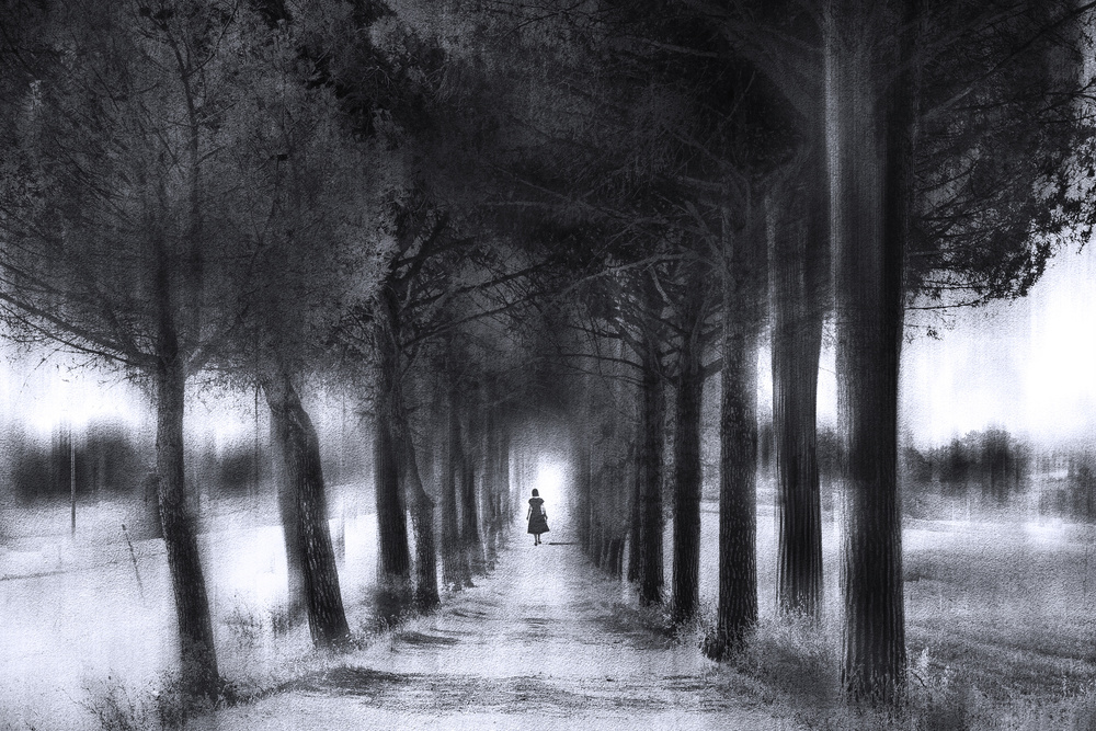 Light through the trees od Nicodemo Quaglia