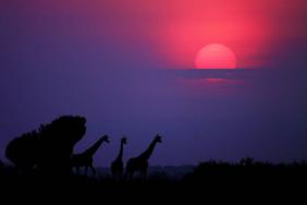 Sunrise in Uganda