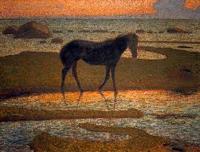 Horse on the Beach (Summer Night)