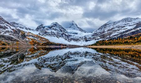 Assiniboine reflection