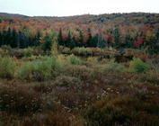 View in the Appalachian mountains (photo)