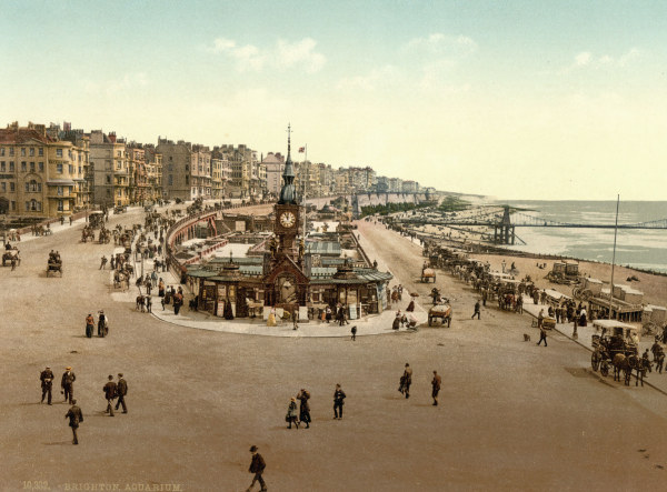 Brighton, Aquarium