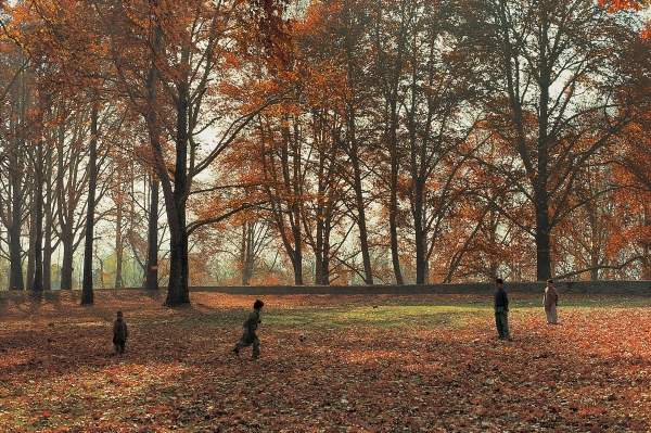 Children playing under huge Chenar trees in autumn, Nishat Bagh, Srinagar (photo)  od 