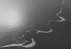 Foam water on sand, Porbandar (b/w photo) 