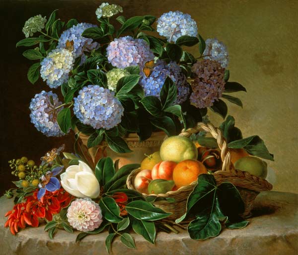 Hydrangea In An Urn And A Basket Of Fruit On A Ledge od 