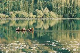 Manasbal lake (photo) 