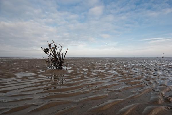 Wattenmeer bei Cuxhaven