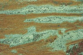 Paint on metal (photo) metallic; texture; textured; abstract; close-ups; green; pastel; brwon; strea