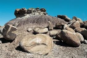 Petrified Forest National Park II (photo) 