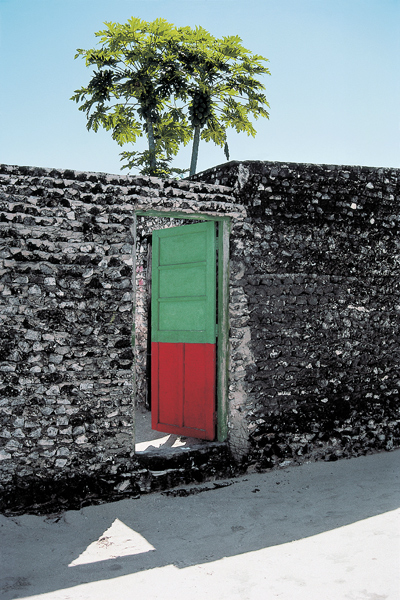 Red green door (photo)  od 