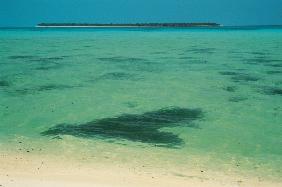 Shadow on sea water, Bangaram (photo) 