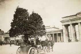 Brandenburg Gate / Planting of trees