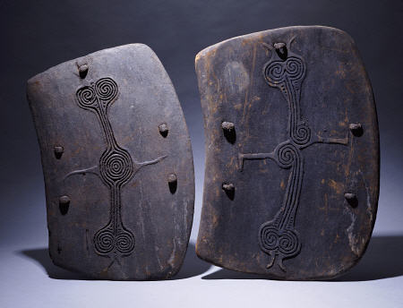 Two Lumi Shields In Rectangular Form od 