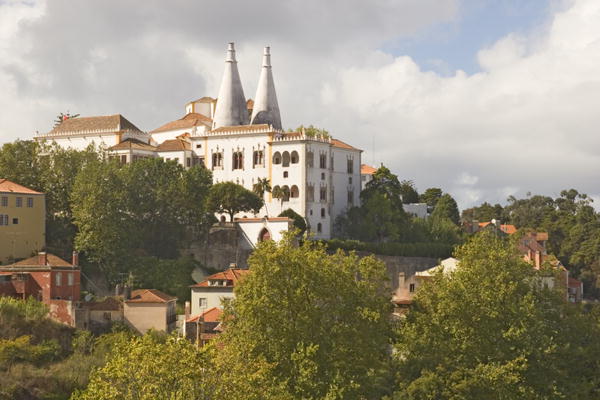 View of the National Palace (photo)  od 