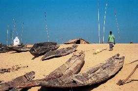 White marker-poles planted on high sand dunes at Gopalpur (photo) 