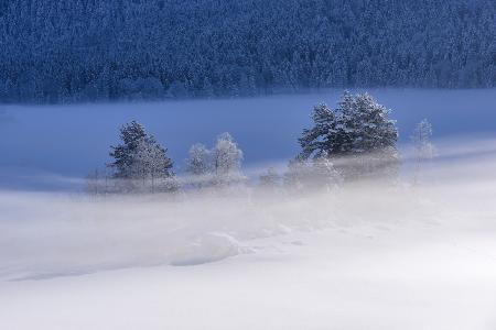 Frozen Lake