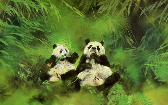 Pandas, 1998 (acrylic and pencil on canvas)  od Odile  Kidd