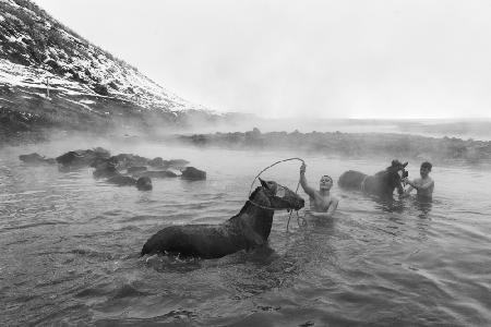 Washing the Horse