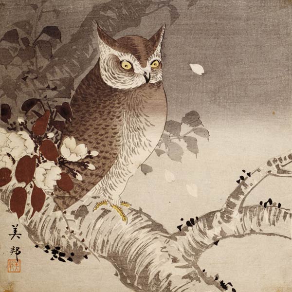 An owl on a tree branch, (colour woodblock print) od Ohara Shôson