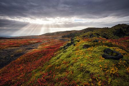 Light and colors of Autumn