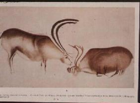 Male and female deer, Magdalenian school