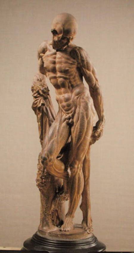 Muscle Man od Paludanus