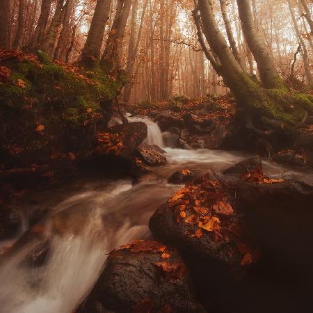 FALLING WATER ON AUTUMN (Part 2)