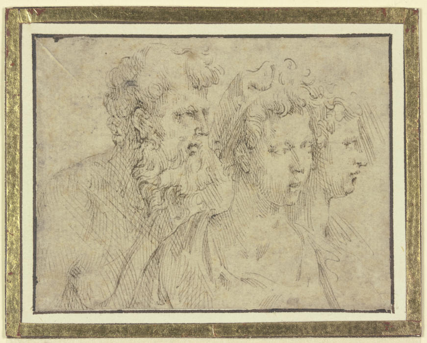 Köpfe eines bärtigen Mannes und zweier Frauen od Parmigianino