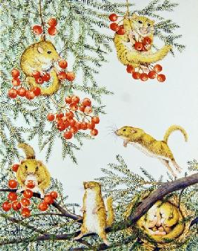 Dormouse House Party