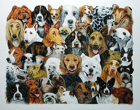 Dog Friends (oil on canvas)  od Pat  Scott