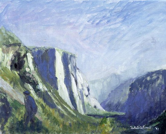 El Capitan, Yosemite National Park, 1993 (oil on canvas)  od Patricia  Espir