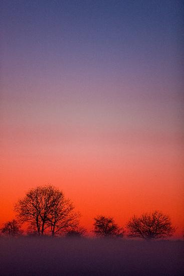 Farbenprächtiger Abendhimmel in Brandenburg od Patrick Pleul