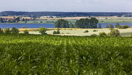 Landschaft der Uckermark in Brandenburg od Patrick Pleul